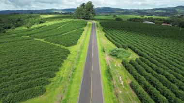 Country Road At Country Scene In Rural Landscape Countryside. Harvest Field Environment. Nature Skyline. Scenic Outdoor. Country Road At Country Scene.