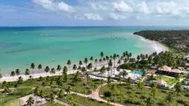 Alagoas Brezilya 'daki Sao Miguel Dos Milagres' te Doğa Havuzu. Mercan Resifi Körfezi Suyu. Doğa manzarası. Paradisiac Manzarası. Seyahat güzergahı. Sao Miguel Dos Milagres Alagoas.