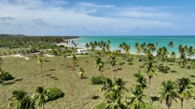 Alagoas Brezilya 'daki Sao Miguel Dos Milagres plaj manzarası. Mercan Kayalıkları Körfezi Suyu. Doğa manzarası. Cennet Manzarası. Seyahat belgesi. Sao Miguel Dos Milagres Alagoas.