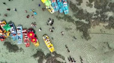 Alagoas Brezilya 'daki Maceio' da Pajucara Doğal Havuzları. Mercan Resifi Körfezi Suyu. Doğa manzarası. Paradisiac Manzarası. Seyahat güzergahı. Tropikal tatil. Alagoas 'taki Maceio' da Pajucara Doğal Havuzları.