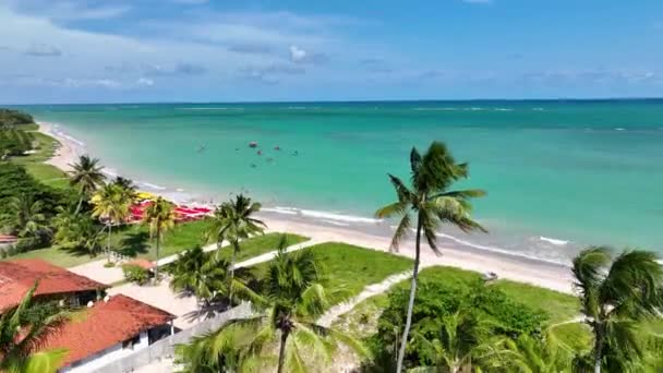 Strand Landschap Bij Sao Miguel Dos Milagres Alagoas Brazilië Koraalrif — Stockvideo