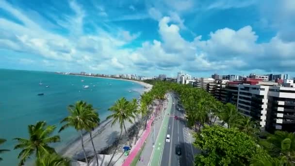Alagoas Brezilya Daki Maceio Ponta Verde Plajı Plaj Manzarası Şehir — Stok video