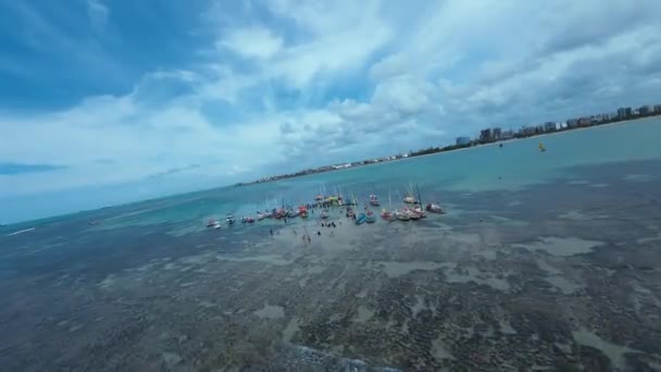 Természetes Medencék Maceio Ban Alagoas Brazíliában Korallzátonyok Öbölvize Természeti Táj — Stock videók