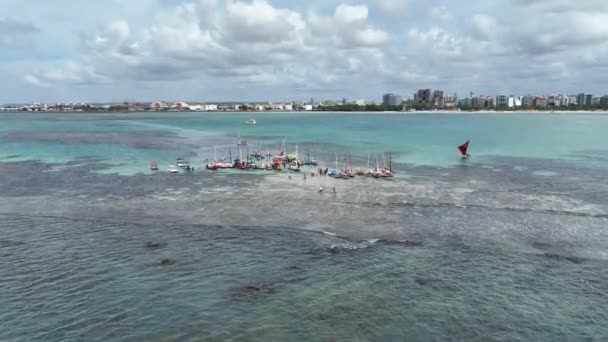 Alagoas Brezilya Daki Maceio Doğal Havuzları Mercan Kayalıkları Körfezi Suyu — Stok video