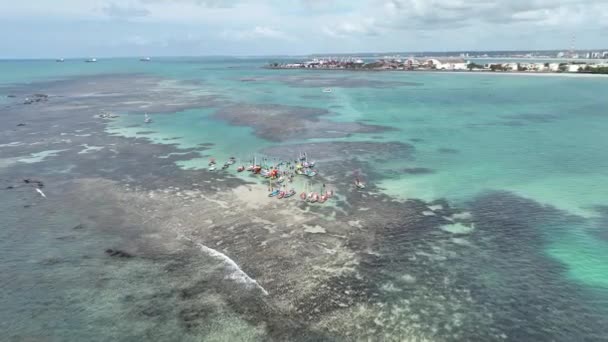 Pajucara Natural Pools Maceio Alagoas Brazil Coral Reef Bay Water — Stock Video