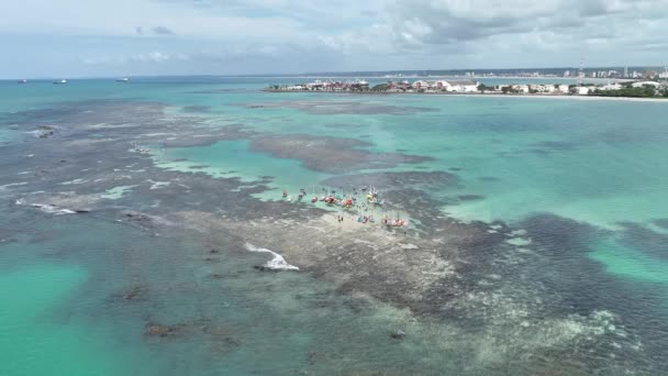 Pajucara Nature Pool Maceio Alagoas Brasil Coral Reef Bay Water — Vídeo de stock