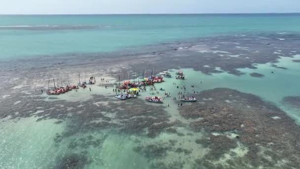 Basen Przyrody Maceio Alagoas Brazylia Rafy Koralowe Bay Water Krajobraz — Wideo stockowe