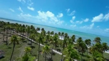Alagoas Brezilya 'daki Sao Miguel Dos Milagres Plaj Sahnesi. Mercan Resifi Körfezi Suyu. Doğa manzarası. Paradisiac Manzarası. Seyahat güzergahı. Sao Miguel Dos Milagres Alagoas.