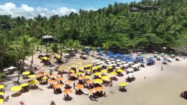 Bahia Brezilya, Itacare 'deki Tiririca Plajı. Turizm arazisi. Doğa Arkaplanı. Seyahat Manzarası. Tatil Tatilleri. Deniz kenarı sahnesi. Bahia Brezilya 'da Itacare' de Tiririca Plajı.