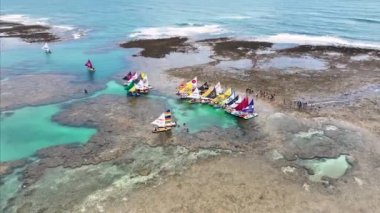 Pernambuco Brezilya 'daki Tavukların Limanı' nda sallar. Mercan Resifi Körfezi Suyu. Doğa manzarası. Paradisiac Manzarası. Seyahat güzergahı. Pernambuco Brezilya 'da Tavukların Limanında Sallar.