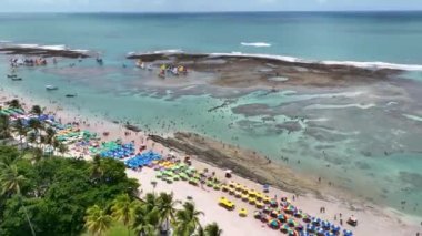 Pernambuco Brezilya 'daki Tavukların Limanı' ndaki Doğal Havuzlar. Mercan Resifi Körfezi Suyu. Doğa manzarası. Paradisiac Manzarası. Seyahat güzergahı. Pernambuco Brezilya 'da Tavukların Limanında Doğal Havuzlar.