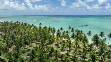 Alagoas Brezilya 'daki Maragogi' de Antunes Plajı. Turizm arazisi. Karayip arka planı. Seyahat Manzarası. Tatil Tatilleri. Deniz kenarı sahnesi. Alagoas Brezilya 'daki Maragogi' de Antunes Plajı.