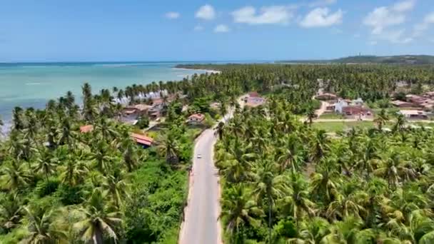 Route Côtière Japaratinga Dans Alagoas Brésil Paysage Touristique Antilles Paysages — Video