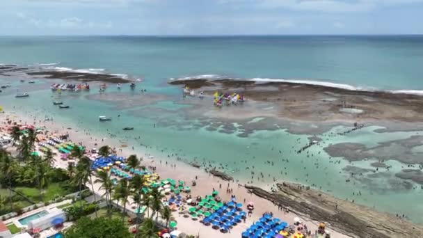 Pernambuco Brezilya Daki Ipojuca Daki Port Chickens Plajı Egzotik Körfez — Stok video