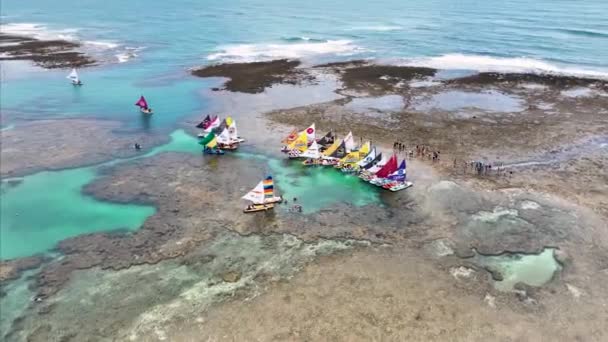 ペルナンブコの鶏の港で筏ブラジル サンゴ礁湾の水 自然景観 パラディシアの風景 旅行先 ペルナンブコの鶏の港での筏ブラジル — ストック動画