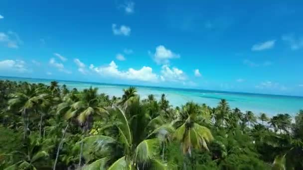 Tropikalna Plaża Maragogi Alagoas Brazylia Krajobraz Turystyczny Karaiby Krajobraz Turystyczny — Wideo stockowe