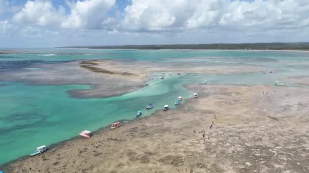 Patacho Doğal Havuzları Sao Miguel Dos Milagres Alagoas Brezilya Mercan — Stok video