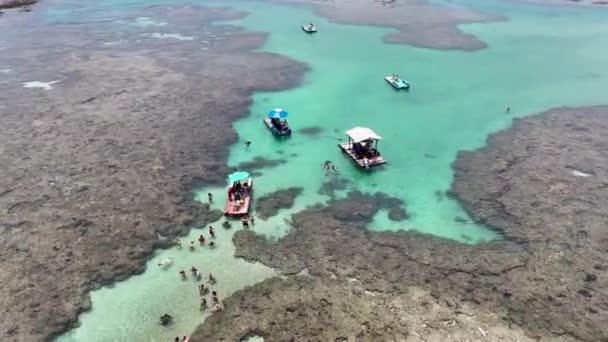 Pernambuco Brezilya Daki Tavukların Limanı Ndaki Doğa Havuzu Mercan Kayalıkları — Stok video