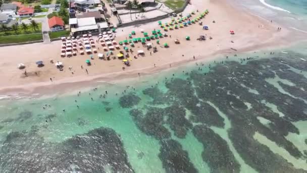 Pernambuco Brezilya Daki Tavukların Limanı Nda Cupe Plajı Egzotik Körfez — Stok video