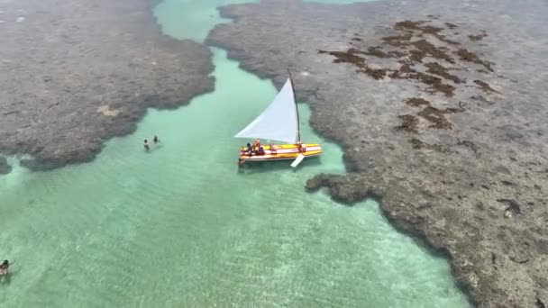 Boote Hafen Von Chickens Beach Pernambuco Brasilien Coral Reefs Bay — Stockvideo
