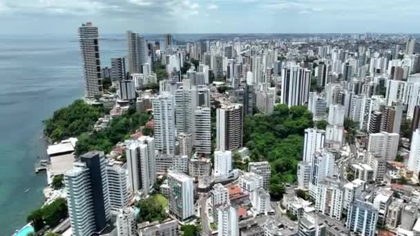 Coast City Salvador Bahia Brazil Travel Landscape Downtown Background Tourism — Stock Video