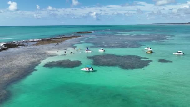 Natuurzwembad Bij Japaratinga Alagoas Brazilië Koraalriffen Bay Water Natuurlandschap Paradijslandschap — Stockvideo
