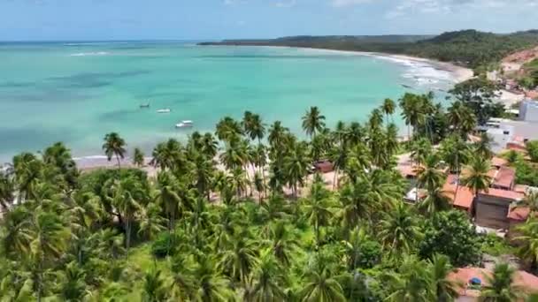 Plaża Boqueirao Japaratinga Alagoas Brazylia Krajobraz Turystyczny Karaiby Krajobraz Turystyczny — Wideo stockowe