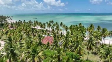 Alagoas Brezilya 'daki Maragogi' de Antunes Plajı. Turizm arazisi. Karayip arka planı. Seyahat Manzarası. Tatil Varış Yeri. Göz kamaştırıcı sahne. Alagoas Brezilya 'daki Maragogi' de Antunes Plajı.