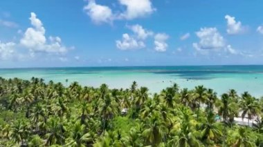 Alagoas Brezilya 'daki Maragogi Tropik Plajı. Turizm arazisi. Karayip arka planı. Seyahat Manzarası. Tatil Tatilleri. Deniz kenarı sahnesi. Alagoas Brezilya 'daki Maragogi Tropik Plajı.