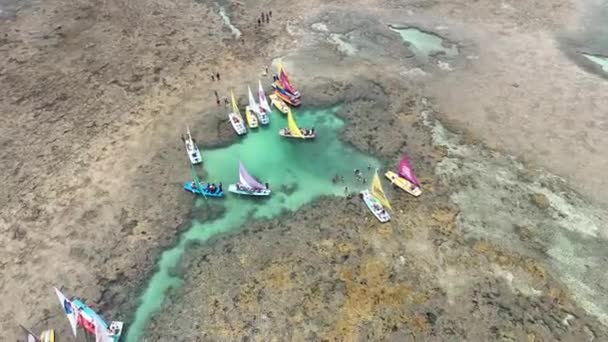 Pernambuco Brezilya Daki Tavukların Limanı Nda Sallar Mercan Kayalıkları Körfezi — Stok video