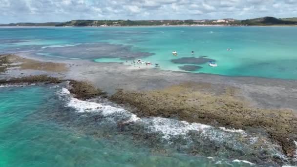 Piscinas Naturales Japaratinga Alagoas Brasil Coral Reefs Bay Water Paisaje — Vídeos de Stock