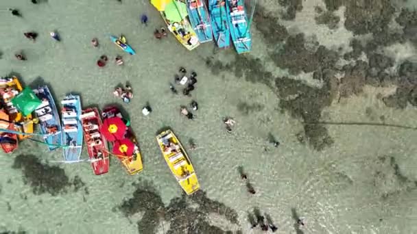 Piscinas Naturales Pajucara Maceio Alagoas Brasil Coral Reef Bay Water — Vídeo de stock