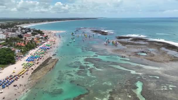 Piscina Naturale Porto Dei Polli Spiaggia Pernambuco Brasile Acqua Esotica — Video Stock