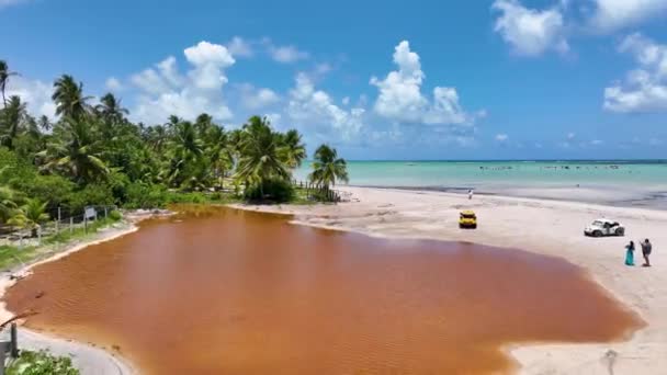 Alagoas Brezilya Daki Maragogi Antunes Plajı Turizm Arazisi Karayip Arka — Stok video