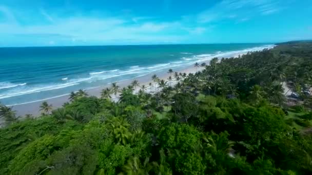 Beach Resort Itacare Bahia Brasile Turismo Paesaggio Sfondo Naturale Paesaggio — Video Stock