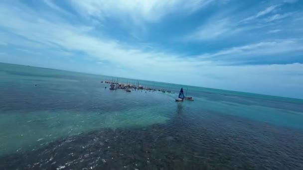 ブラジル アラゴアス州のマセイオにあるパジュカラ自然プール サンゴ礁湾の水 自然景観 パラディシアの風景 旅行先 休暇熱帯 アラゴアス州マセイオのパジュカラ自然プール — ストック動画