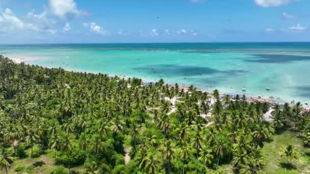 Strand Scene Maragogi Alagoas Brasilien Turisme Landskab Caribbean Baggrund Rejse – Stock-video