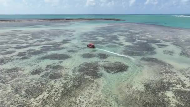 Natuurlijke Zwembaden Bij Sao Miguel Dos Milagres Alagoas Brazilië Koraalriffen — Stockvideo