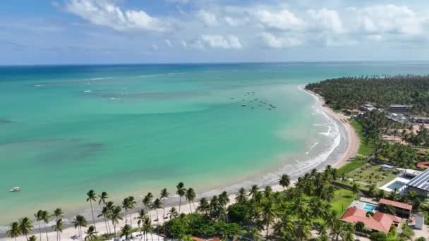 アラゴアス ブラジルのサンミゲル ミラグレスのビーチ風景 サンゴ礁湾の水 自然景観 パラディシアの風景 旅行先 サンミゲル マリアゴス Alago — ストック動画
