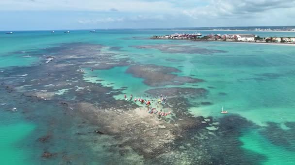 Piscines Naturelles Maceio Alagoas Brésil Coral Reefs Bay Water Paysage — Video
