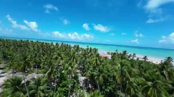 Antunes Beach Maragogi Dans Alagoas Brésil Paysage Touristique Antilles Paysages — Video