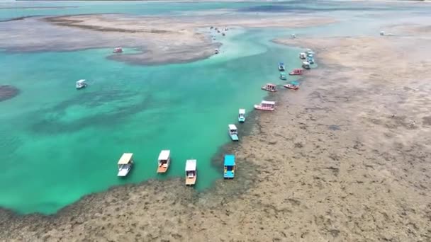 Naturschwimmbecken Sao Miguel Dos Milagres Alagoas Brasilien Coral Reefs Bay — Stockvideo