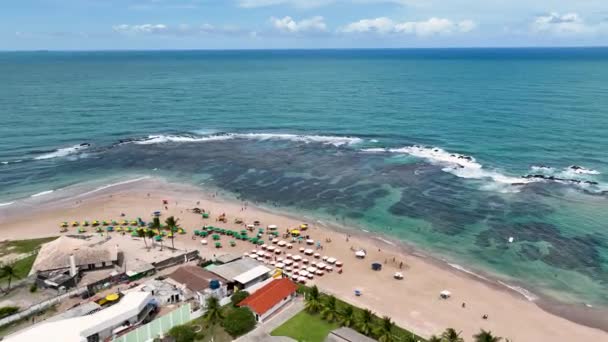 Pernambuco Brezilya Daki Tavukların Limanı Nda Cupe Plajı Mercan Resifi — Stok video