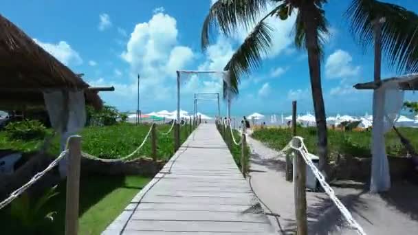 Strandlandschaft Bei Sao Miguel Dos Milagres Alagoas Brasilien Coral Reefs — Stockvideo