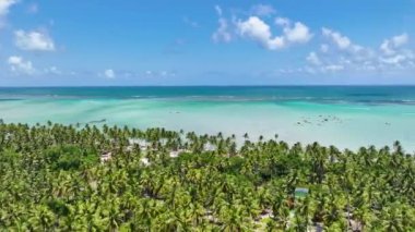 Alagoas Brezilya 'daki Maragogi Tropik Plajı. Turizm arazisi. Karayip arka planı. Seyahat Manzarası. Tatil Tatilleri. Deniz kenarı sahnesi. Alagoas Brezilya 'daki Maragogi Tropik Plajı.