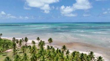 Alagoas Brezilya 'daki Japaratinga Plaj Sahnesi. Turizm arazisi. Karayip arka planı. Seyahat Manzarası. Tatil Tatilleri. Deniz kenarı sahnesi. Alagoas Brezilya 'daki Japaratinga Plaj Sahnesi.