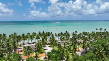 Alagoas Brezilya 'daki Maragogi Tropik Plajı. Turizm arazisi. Karayip arka planı. Seyahat Manzarası. Tatil Tatilleri. Deniz kenarı sahnesi. Alagoas Brezilya 'daki Maragogi Tropik Plajı.