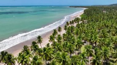 Alagoas Brezilya 'daki Japaratinga Plaj Sahnesi. Turizm arazisi. Karayip arka planı. Seyahat Manzarası. Tatil Varış Yeri. Deniz Burnu Sahnesi. Alagoas Brezilya 'daki Japaratinga Plaj Sahnesi.