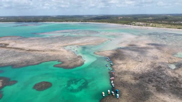 Patacho Piscine Naturelle Sao Miguel Dos Milagres Alagoas Brésil Coral — Video