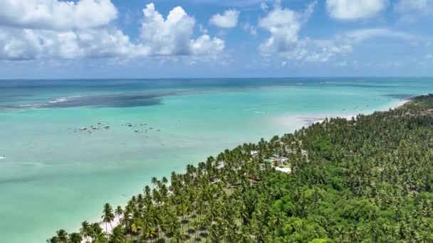 Antunes Beach Maragogi Alagoas Brazilia Peisaj Turistic Caribbean Background Peisaj — Videoclip de stoc